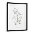 Eucalipto Etéreo I - Jennifer Goldberger | Cuadro decorativo de Canvas Lab