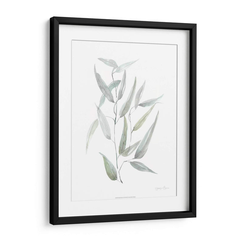 Eucalipto Etéreo I - Jennifer Goldberger | Cuadro decorativo de Canvas Lab