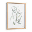 Eucalipto Etéreo I - Jennifer Goldberger | Cuadro decorativo de Canvas Lab