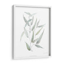 Eucalipto Etéreo I - Jennifer Goldberger | Cuadro decorativo de Canvas Lab