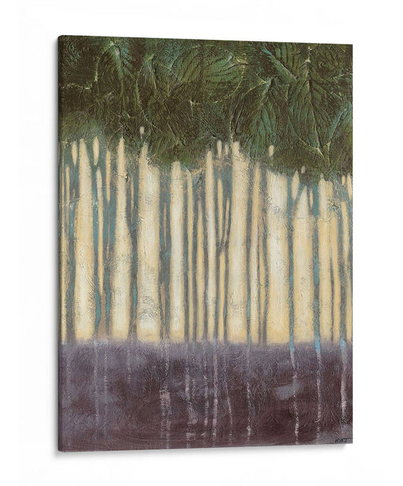 Rainforest Ii Iluminado Por El Sol - Norman Wyatt Jr. | Cuadro decorativo de Canvas Lab