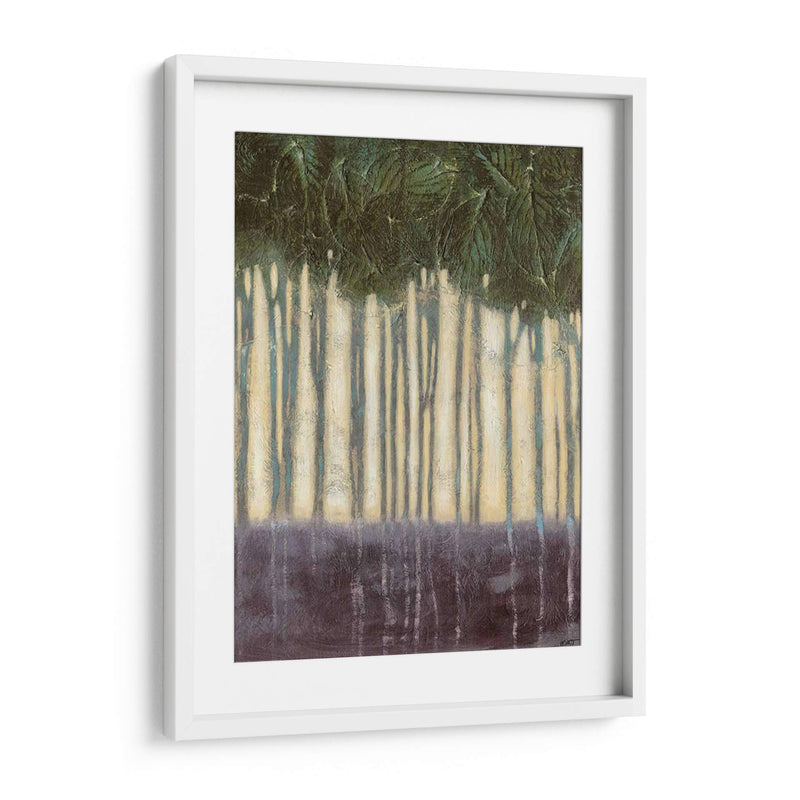 Rainforest Ii Iluminado Por El Sol - Norman Wyatt Jr. | Cuadro decorativo de Canvas Lab