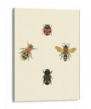 Insecté I - Vision Studio | Cuadro decorativo de Canvas Lab