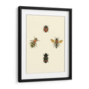 Insecté I - Vision Studio | Cuadro decorativo de Canvas Lab