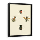 Insecté I - Vision Studio | Cuadro decorativo de Canvas Lab