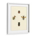 Insecté I - Vision Studio | Cuadro decorativo de Canvas Lab
