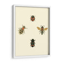 Insecté I - Vision Studio | Cuadro decorativo de Canvas Lab