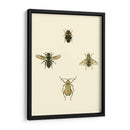 Insecto Ii - Vision Studio | Cuadro decorativo de Canvas Lab