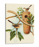 Nido De Plumas I | Cuadro decorativo de Canvas Lab
