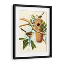 Nido De Plumas I | Cuadro decorativo de Canvas Lab