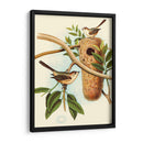 Nido De Plumas I | Cuadro decorativo de Canvas Lab