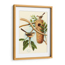 Nido De Plumas I | Cuadro decorativo de Canvas Lab