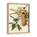 Nido De Plumas I | Cuadro decorativo de Canvas Lab