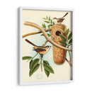 Nido De Plumas I | Cuadro decorativo de Canvas Lab