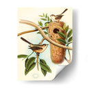 Nido De Plumas I | Cuadro decorativo de Canvas Lab