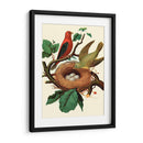 Nido De Plumas | Cuadro decorativo de Canvas Lab