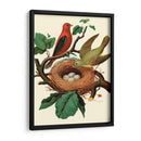 Nido De Plumas | Cuadro decorativo de Canvas Lab