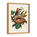 Nido De Plumas | Cuadro decorativo de Canvas Lab