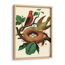 Nido De Plumas | Cuadro decorativo de Canvas Lab