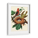 Nido De Plumas | Cuadro decorativo de Canvas Lab