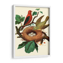 Nido De Plumas | Cuadro decorativo de Canvas Lab