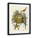 Feathering Nest Iii | Cuadro decorativo de Canvas Lab