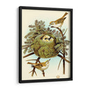 Feathering Nest Iii | Cuadro decorativo de Canvas Lab
