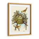 Feathering Nest Iii | Cuadro decorativo de Canvas Lab