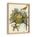 Feathering Nest Iii | Cuadro decorativo de Canvas Lab