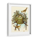 Feathering Nest Iii | Cuadro decorativo de Canvas Lab