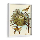Feathering Nest Iii | Cuadro decorativo de Canvas Lab