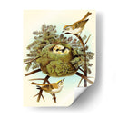 Feathering Nest Iii | Cuadro decorativo de Canvas Lab