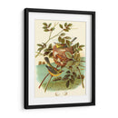 Feathering Nest Iv | Cuadro decorativo de Canvas Lab