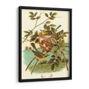 Feathering Nest Iv | Cuadro decorativo de Canvas Lab