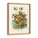 Feathering Nest Iv | Cuadro decorativo de Canvas Lab