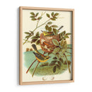 Feathering Nest Iv | Cuadro decorativo de Canvas Lab