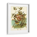 Feathering Nest Iv | Cuadro decorativo de Canvas Lab