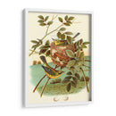 Feathering Nest Iv | Cuadro decorativo de Canvas Lab