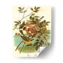 Feathering Nest Iv | Cuadro decorativo de Canvas Lab