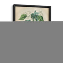 Belleza Tropical Ii - John Wiek | Cuadro decorativo de Canvas Lab