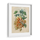 Belleza Tropical Ii - John Wiek | Cuadro decorativo de Canvas Lab