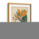 Pájaro Dorado Del Paraíso - Sydenham Edwards | Cuadro decorativo de Canvas Lab