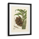 Frutas De La Isla I - B. Pinelli | Cuadro decorativo de Canvas Lab