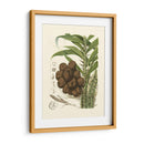 Frutas De La Isla I - B. Pinelli | Cuadro decorativo de Canvas Lab