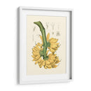 Frutas Islas Ii - B. Pinelli | Cuadro decorativo de Canvas Lab