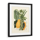 Frutas De La Isla Iv - B. Pinelli | Cuadro decorativo de Canvas Lab