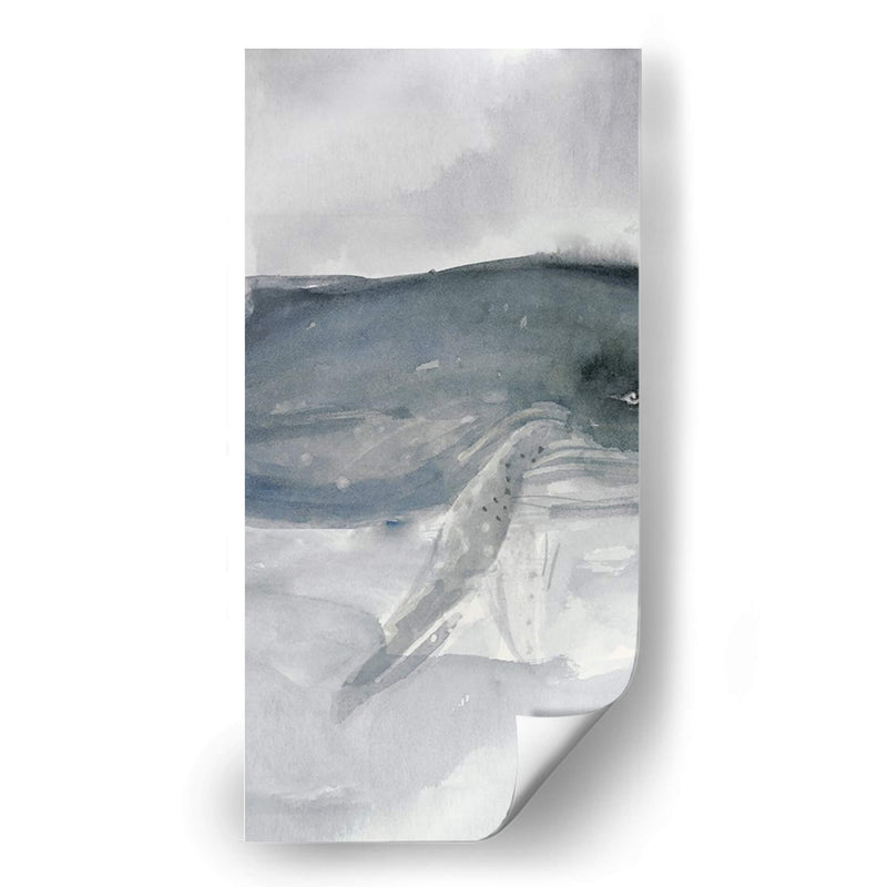 Tríptico De Ballena Azul Ii - A.C. Warren | Cuadro decorativo de Canvas Lab