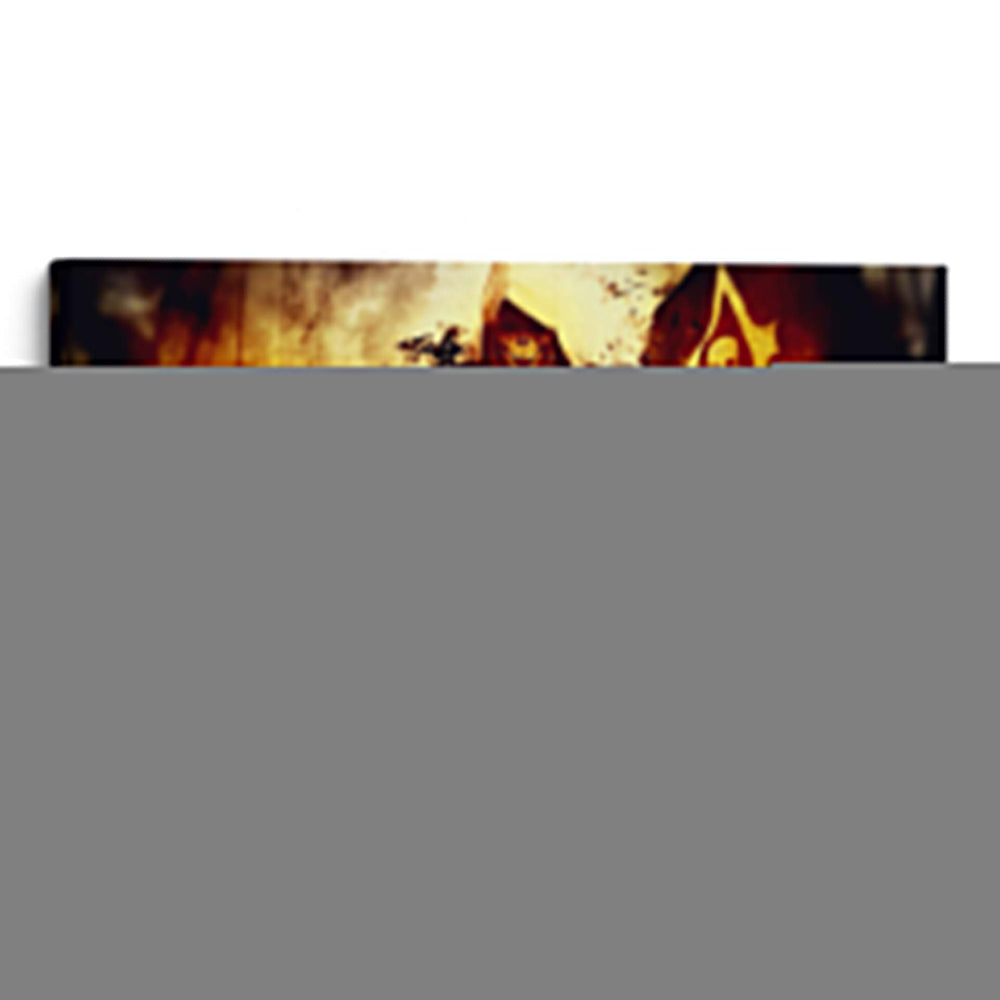 Pirate on fire | Cuadro decorativo de Canvas Lab