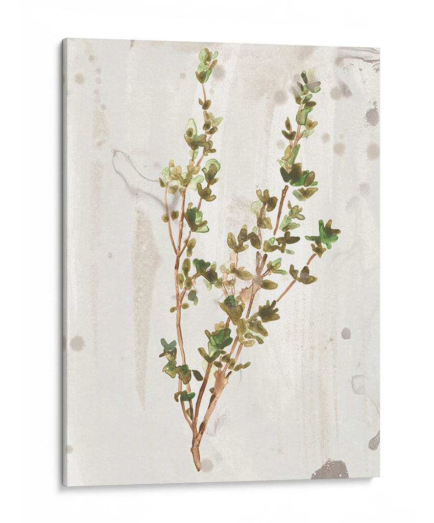 Hierbas De La Tierra Antigua Ii - June Erica Vess | Cuadro decorativo de Canvas Lab