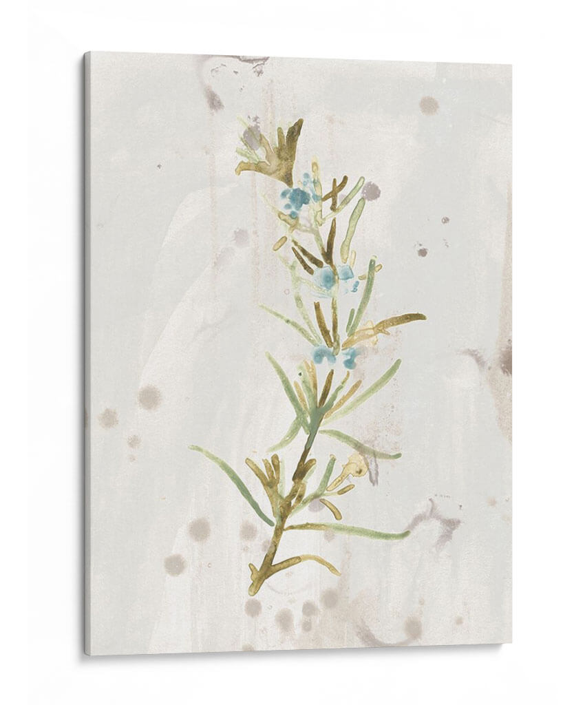 Hierbas De Tierra Antigua Iii - June Erica Vess | Cuadro decorativo de Canvas Lab